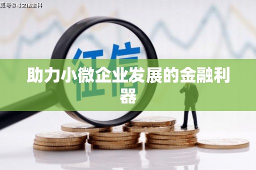 陆丰助力小微企业发展的金融利器