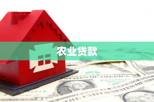 陆丰农业贷款