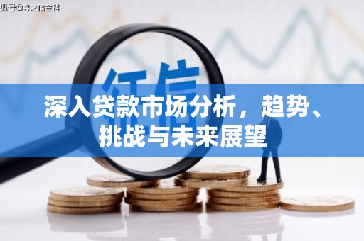 陆丰深入贷款市场分析，趋势、挑战与未来展望