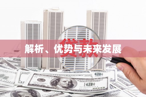 陆丰解析、优势与未来发展