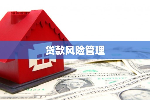 陆丰贷款风险管理