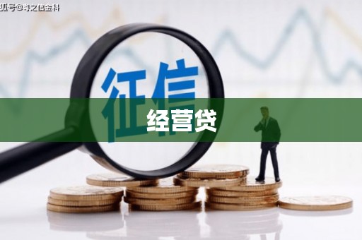 陆丰经营贷
