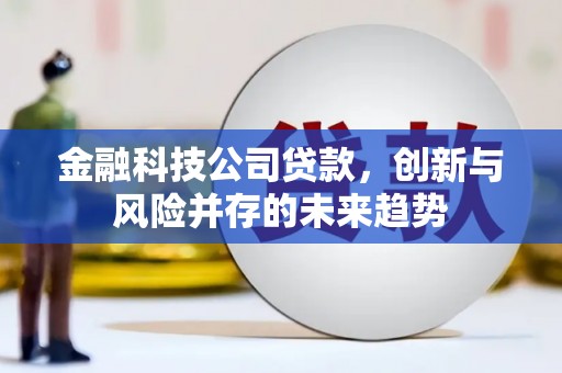 陆丰金融科技公司贷款，创新与风险并存的未来趋势