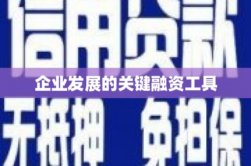 陆丰企业发展的关键融资工具