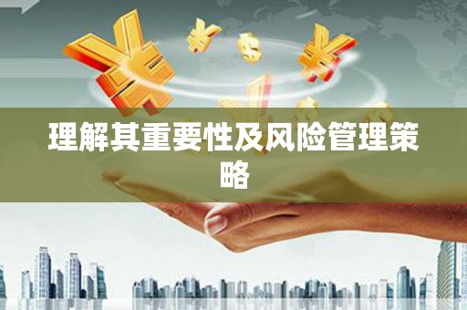 陆丰理解其重要性及风险管理策略