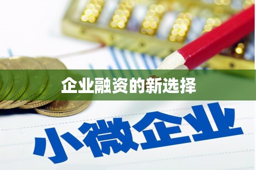陆丰企业融资的新选择
