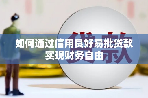 陆丰如何通过信用良好易批贷款实现财务自由