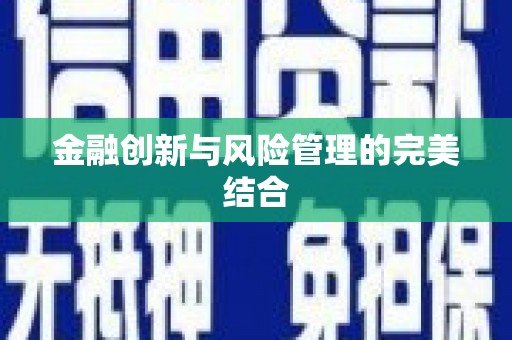陆丰金融创新与风险管理的完美结合