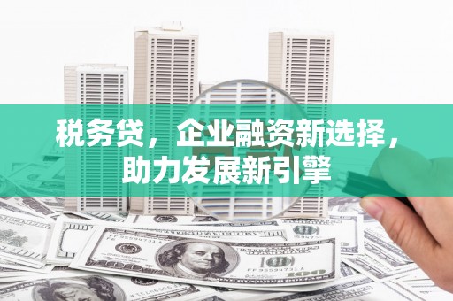 陆丰税务贷，企业融资新选择，助力发展新引擎