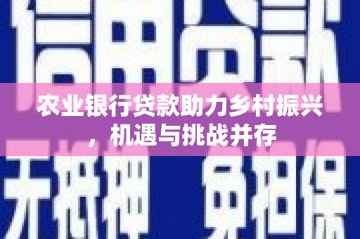 陆丰农业银行贷款助力乡村振兴，机遇与挑战并存