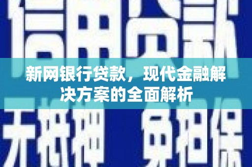陆丰新网银行贷款，现代金融解决方案的全面解析