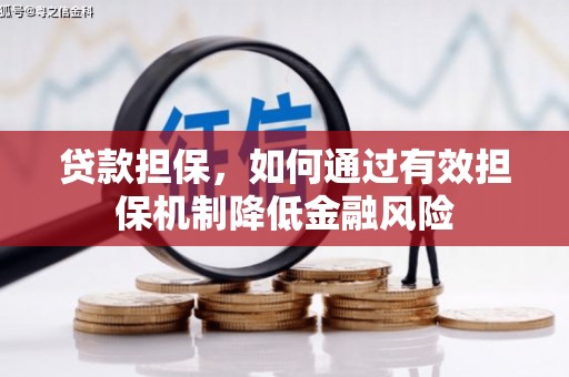 陆丰贷款担保，如何通过有效担保机制降低金融风险