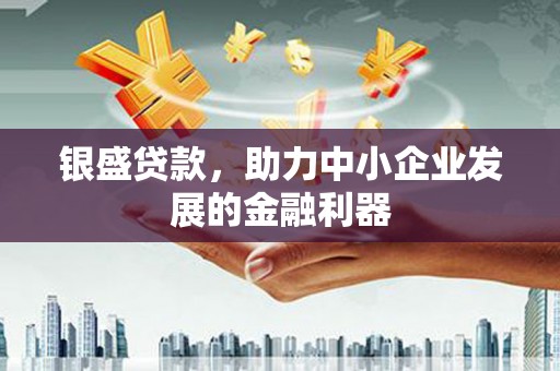陆丰银盛贷款，助力中小企业发展的金融利器
