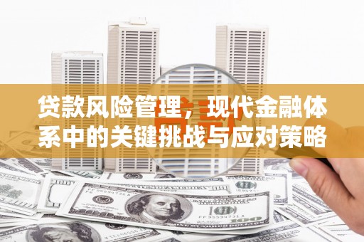 陆丰贷款风险管理，现代金融体系中的关键挑战与应对策略