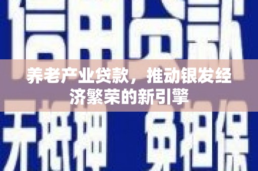 陆丰养老产业贷款，推动银发经济繁荣的新引擎