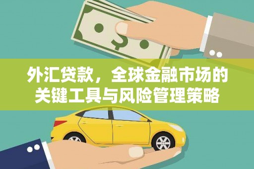 陆丰外汇贷款，全球金融市场的关键工具与风险管理策略
