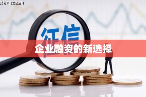 陆丰企业融资的新选择