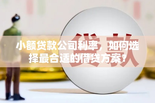 陆丰小额贷款公司利率，如何选择最合适的借贷方案？