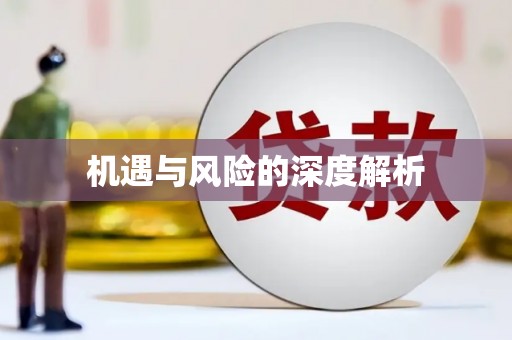 陆丰机遇与风险的深度解析