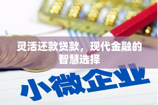 陆丰灵活还款贷款，现代金融的智慧选择