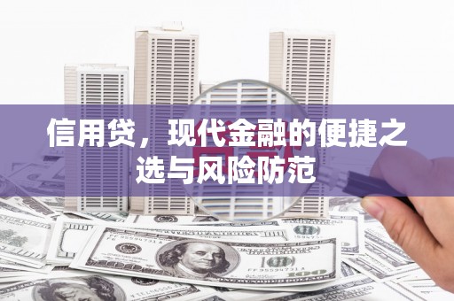 陆丰信用贷，现代金融的便捷之选与风险防范