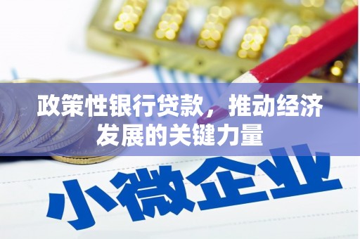陆丰政策性银行贷款，推动经济发展的关键力量