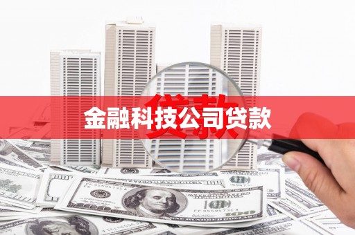 陆丰金融科技公司贷款