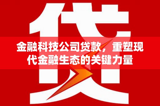 陆丰金融科技公司贷款，重塑现代金融生态的关键力量