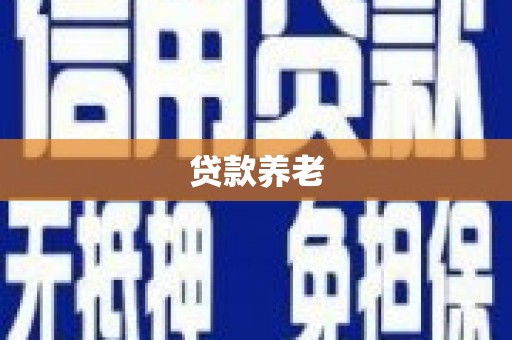 陆丰贷款养老