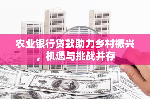 陆丰农业银行贷款助力乡村振兴，机遇与挑战并存