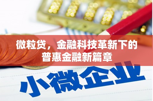 陆丰微粒贷，金融科技革新下的普惠金融新篇章
