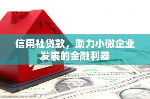 陆丰信用社贷款，助力小微企业发展的金融利器