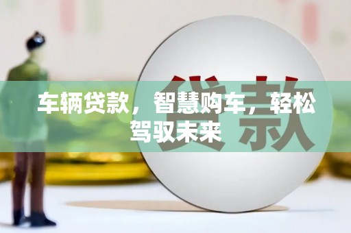 陆丰车辆贷款，智慧购车，轻松驾驭未来