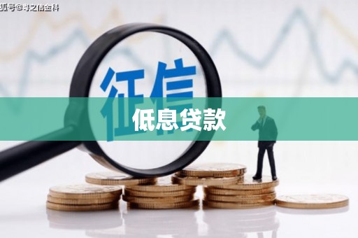 陆丰低息贷款