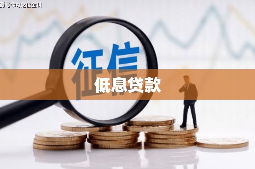 陆丰低息贷款