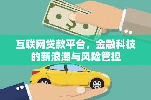 陆丰互联网贷款平台，金融科技的新浪潮与风险管控