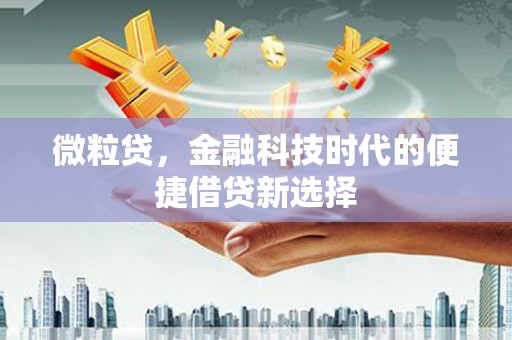 陆丰微粒贷，金融科技时代的便捷借贷新选择