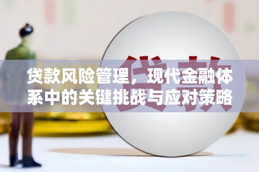 陆丰贷款风险管理，现代金融体系中的关键挑战与应对策略