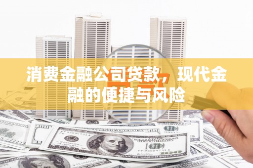 陆丰消费金融公司贷款，现代金融的便捷与风险