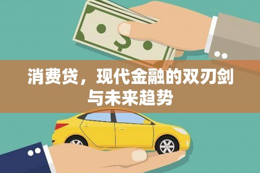 陆丰消费贷，现代金融的双刃剑与未来趋势