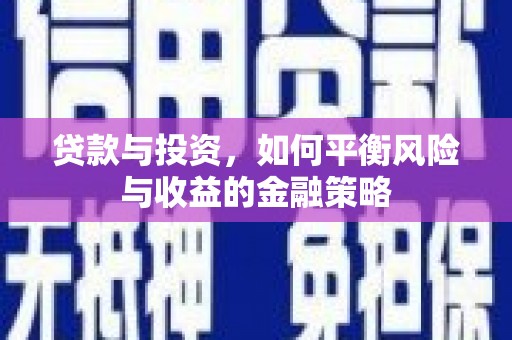 陆丰贷款与投资，如何平衡风险与收益的金融策略