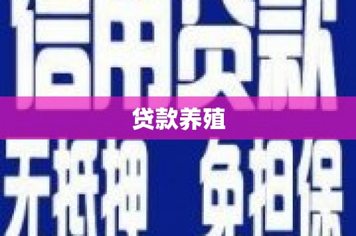 陆丰贷款养殖