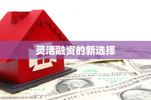 陆丰灵活融资的新选择