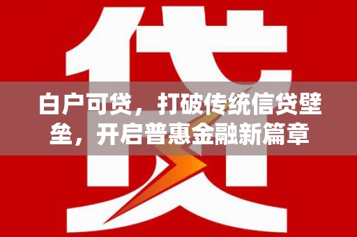 陆丰白户可贷，打破传统信贷壁垒，开启普惠金融新篇章