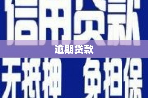 陆丰逾期贷款
