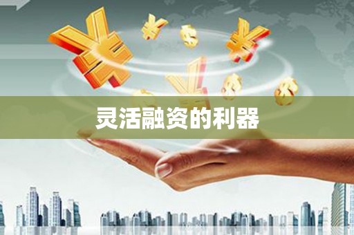 陆丰灵活融资的利器