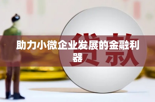 陆丰助力小微企业发展的金融利器
