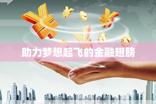 陆丰助力梦想起飞的金融翅膀