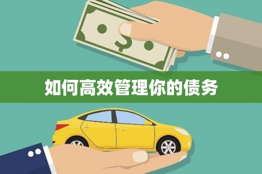 陆丰如何高效管理你的债务