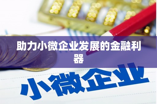 陆丰助力小微企业发展的金融利器